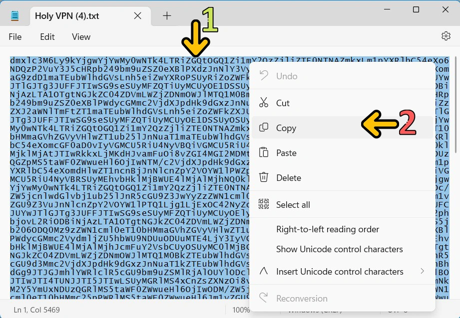 Nekoray Windows Tutorial 7