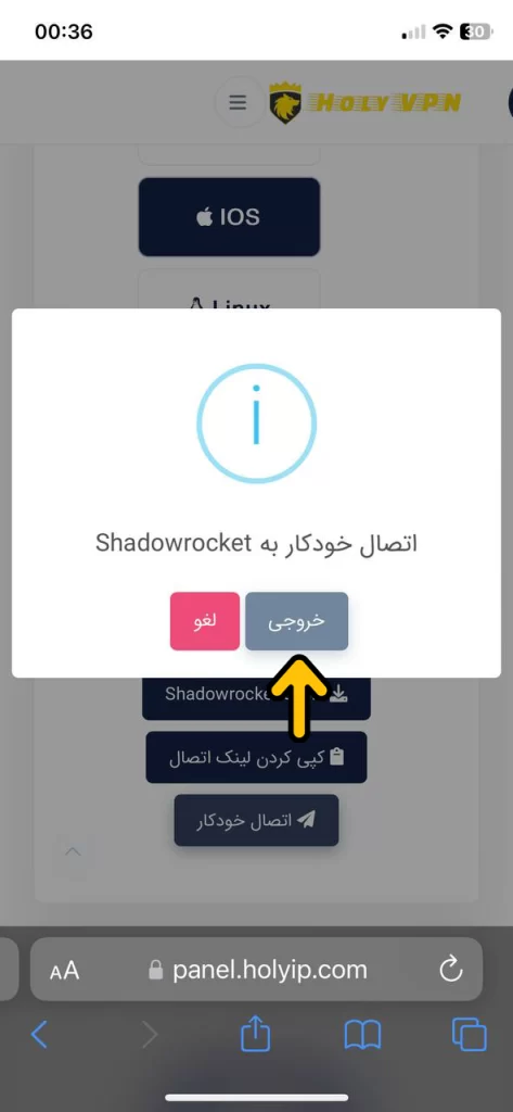 shadowrocket ios tutorial 2